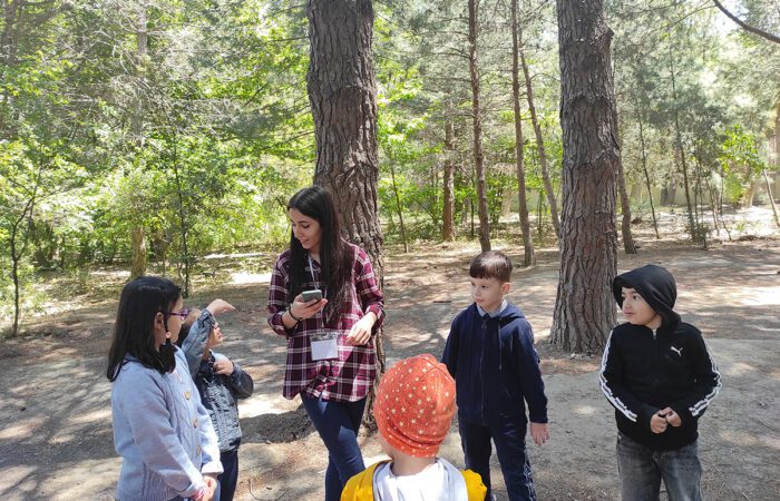 Forest School Azerbaijan - Weekly Meetings